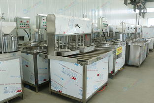 云南昆明豆腐机设备 豆腐机生产线 豆腐机视频现场试机