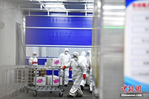 海关检测进口冷链食品样本149万个 检出核酸阳性样本79个