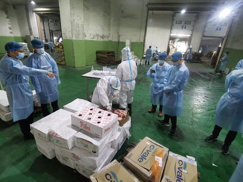 海关总署 加强进口冷链食品新冠病毒的风险监测